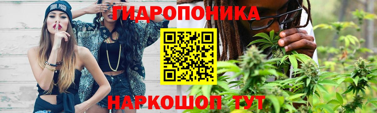 Бошки марихуана AK-47 Грозный